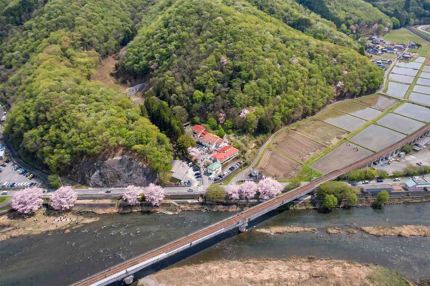 岡本医院の空撮（春）